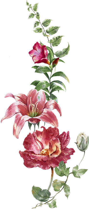 Ornament
