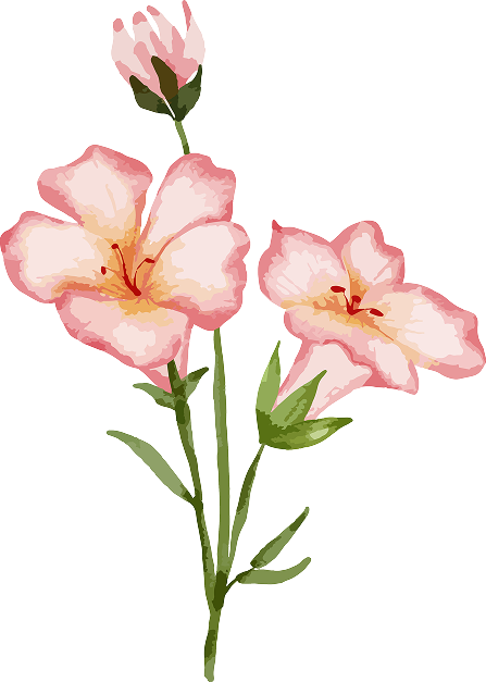 Ornaments