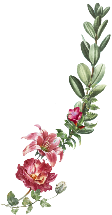 Ornaments